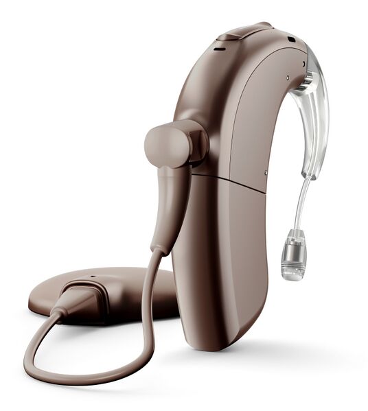 Datei:Naida CI M headpiece Brown.jpg