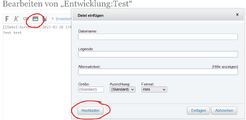 Eigenes Werk - Datei hochladen, 1. Schritt