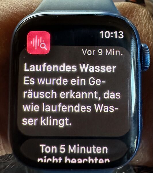 Datei:Applewatch.jpg