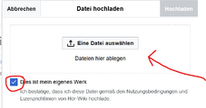Eigenes Werk - Datei hochladen, 2. Schritt
